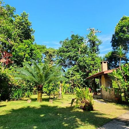 Itamambuca A Beira Mar Com Piscina Villa Ubatuba Eksteriør billede