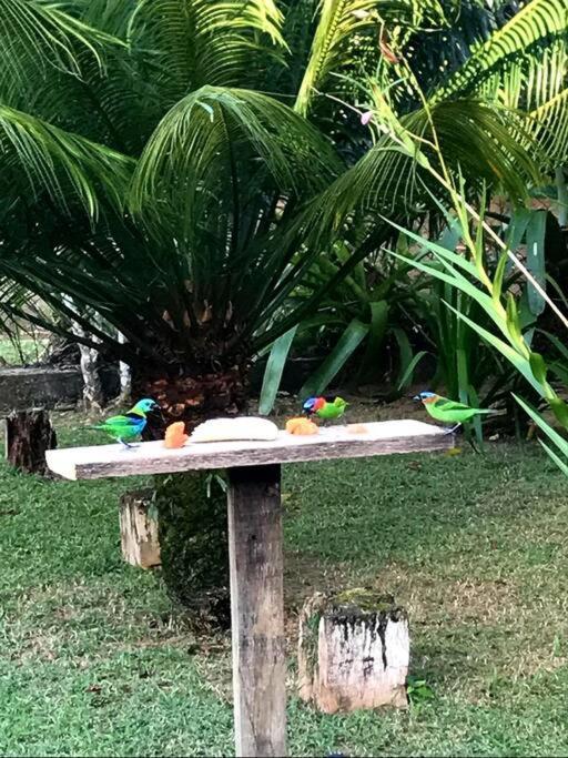 Itamambuca A Beira Mar Com Piscina Villa Ubatuba Eksteriør billede